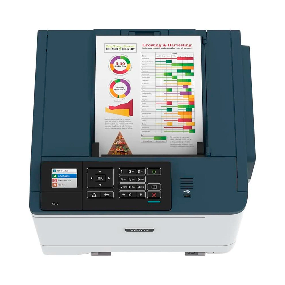 C310/DNI5.jpg