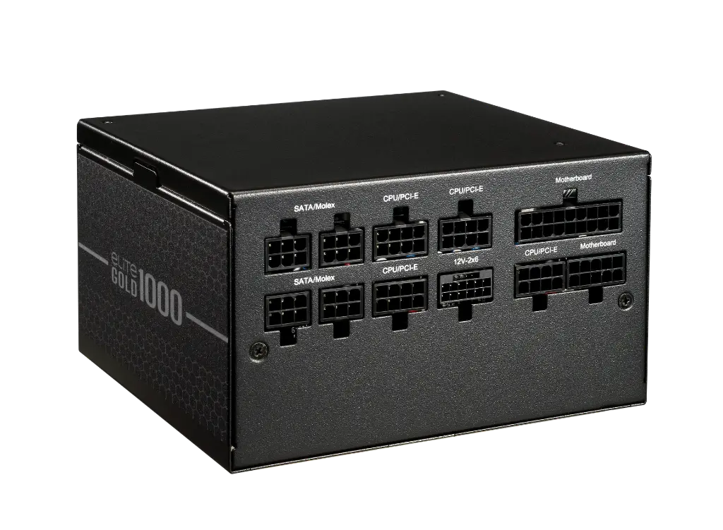 Elite Gold 1000 - 04.webp