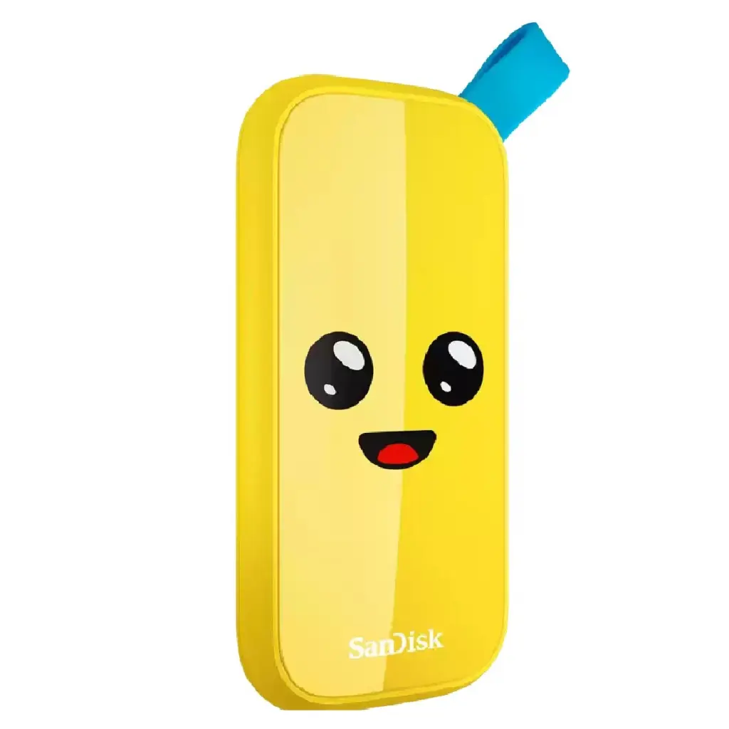 SDSSDE30-1T00-G25F 3.webp