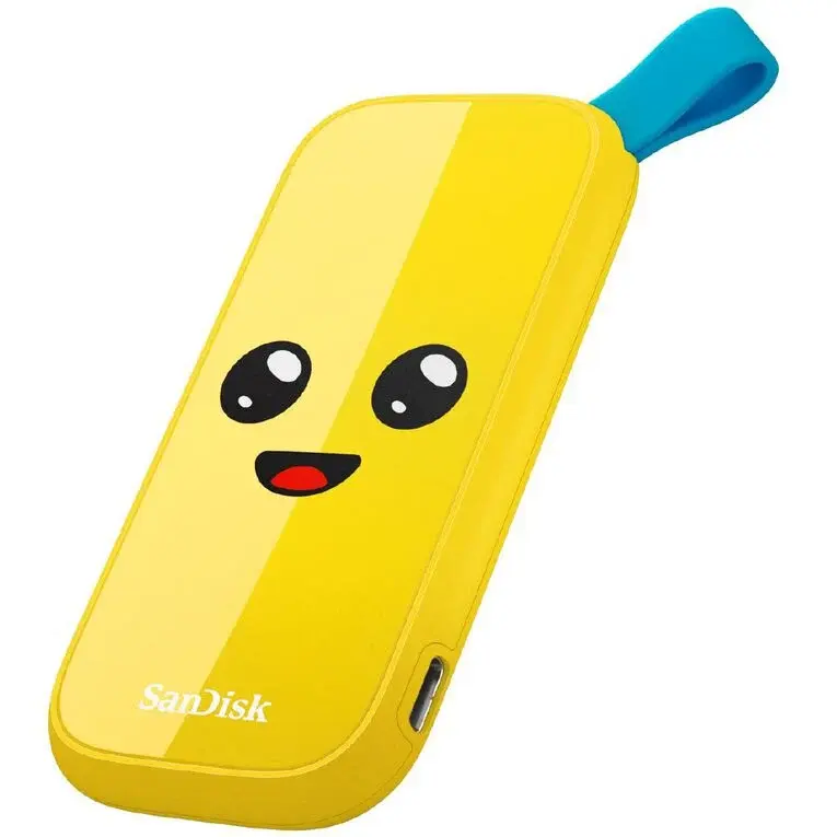 SDSSDE30-1T00-G25F 1.webp