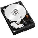 WD6005FFBX 8.webp