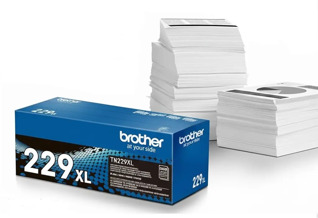 unnamed - copia.webp