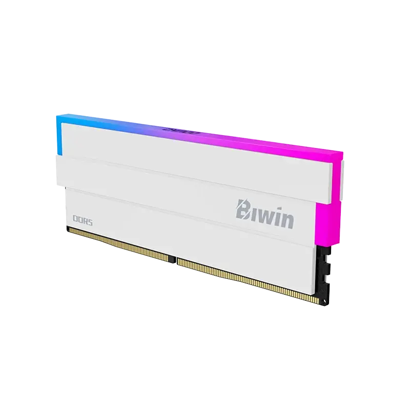 biwin-black-opal-dw100-32gb-ddr5-ram.webp