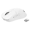 AC-945653-07.webp