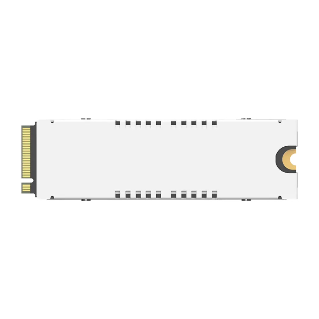 back-side-of-biwin-black-opal-pcie-5-ssd.webp