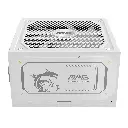 FUENTE MSI MAG A1000GL 1000W 80 PLUS GOLD PCIE 5.1 BLANCO FULL MODULAR ATX MAG A1000GL PCIE5 WHITE 12M DE GARANTIA