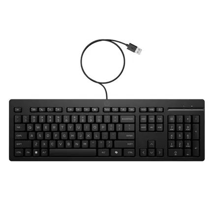 TECLADO HP 125 ALAMBRICO USB NEGRO AY2Y7AA GARANTIA CON FABRICANTE