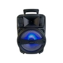 BOCINA TECHOME FS-L186 10W NEGRO FS-L186 1M DE GARANTIA