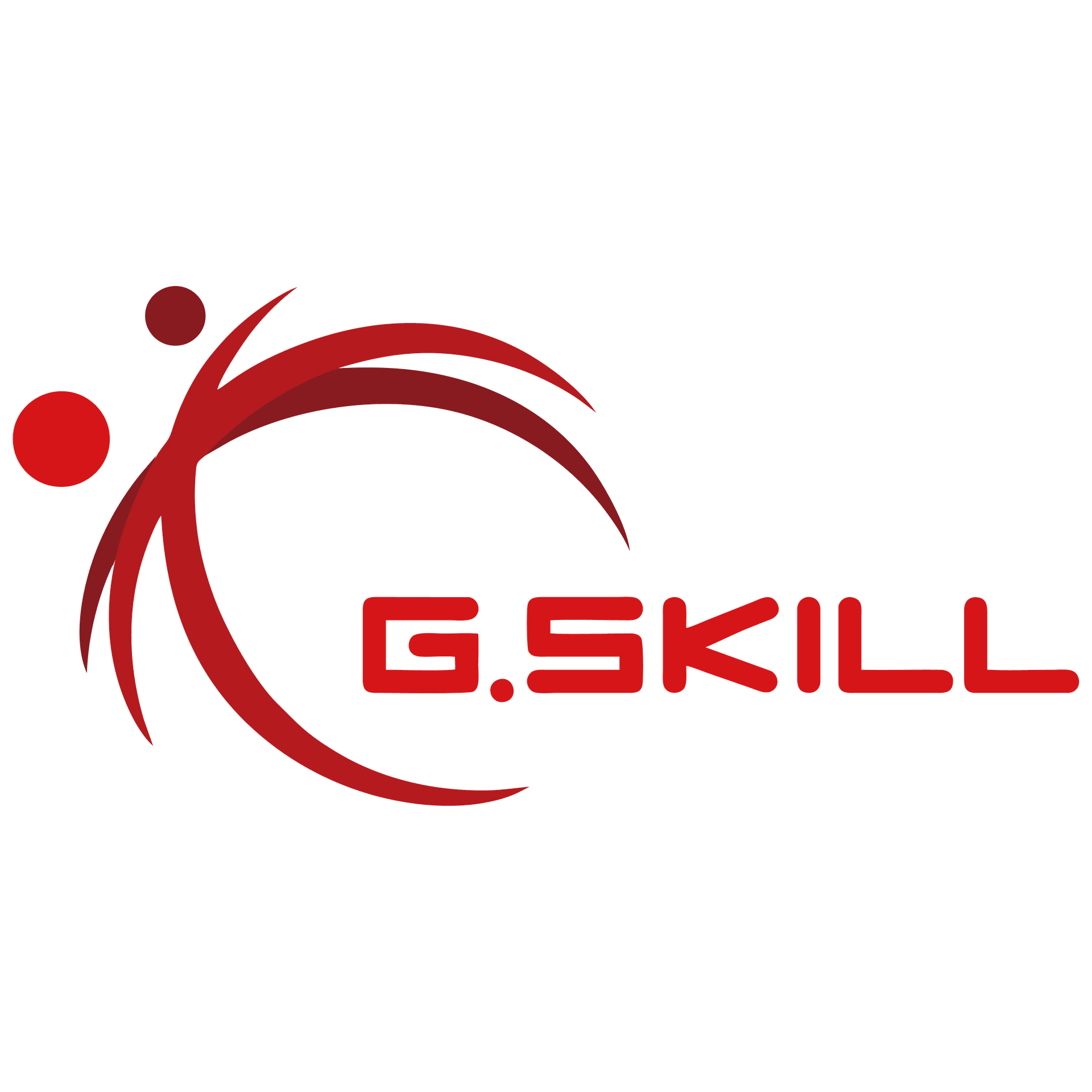 Marca: GSKILL