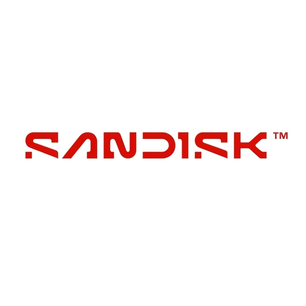 Brand: SANDISK